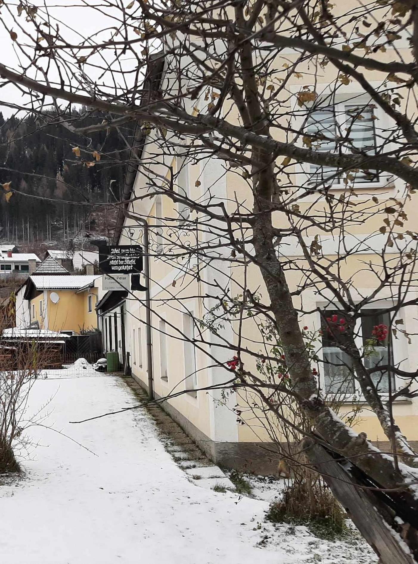 Haus Peter Διαμέρισμα Murau Εξωτερικό φωτογραφία